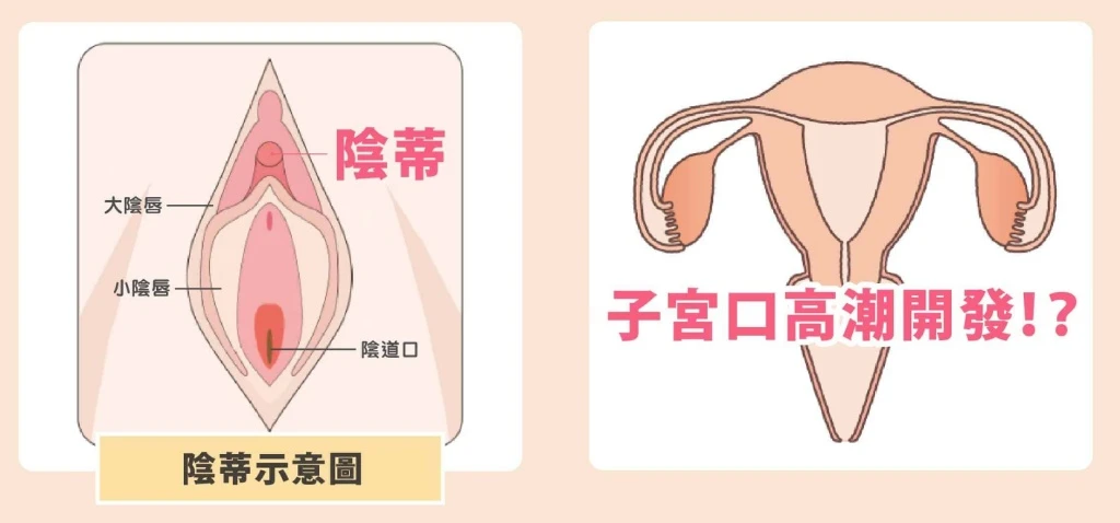 催情藥,&nbsp;增強女性高潮快感,&nbsp;女性催情春藥,&nbsp;女性春藥,&nbsp;女性淫蕩發騷春藥,&nbsp;提升女性敏感度享受,&nbsp;春藥,&nbsp;春藥哪裡買,&nbsp;春藥推薦,&nbsp;春藥是什麼,&nbsp;春藥真的有用嗎,&nbsp;有效春藥,&nbsp;極上潮吹,&nbsp;極上潮吹哪裡買,&nbsp;極上潮吹效果,&nbsp;極上潮吹有效嗎,&nbsp;極上潮吹正品