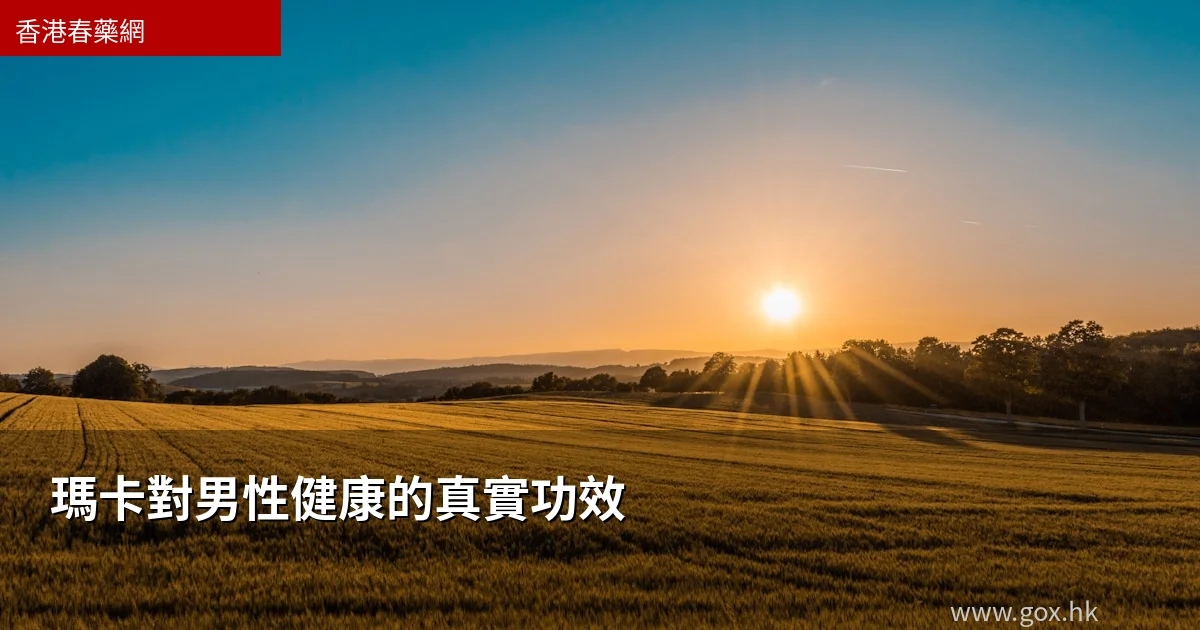 瑪卡對男性健康的真實功效｜香港男士補充精力嘅天然選擇